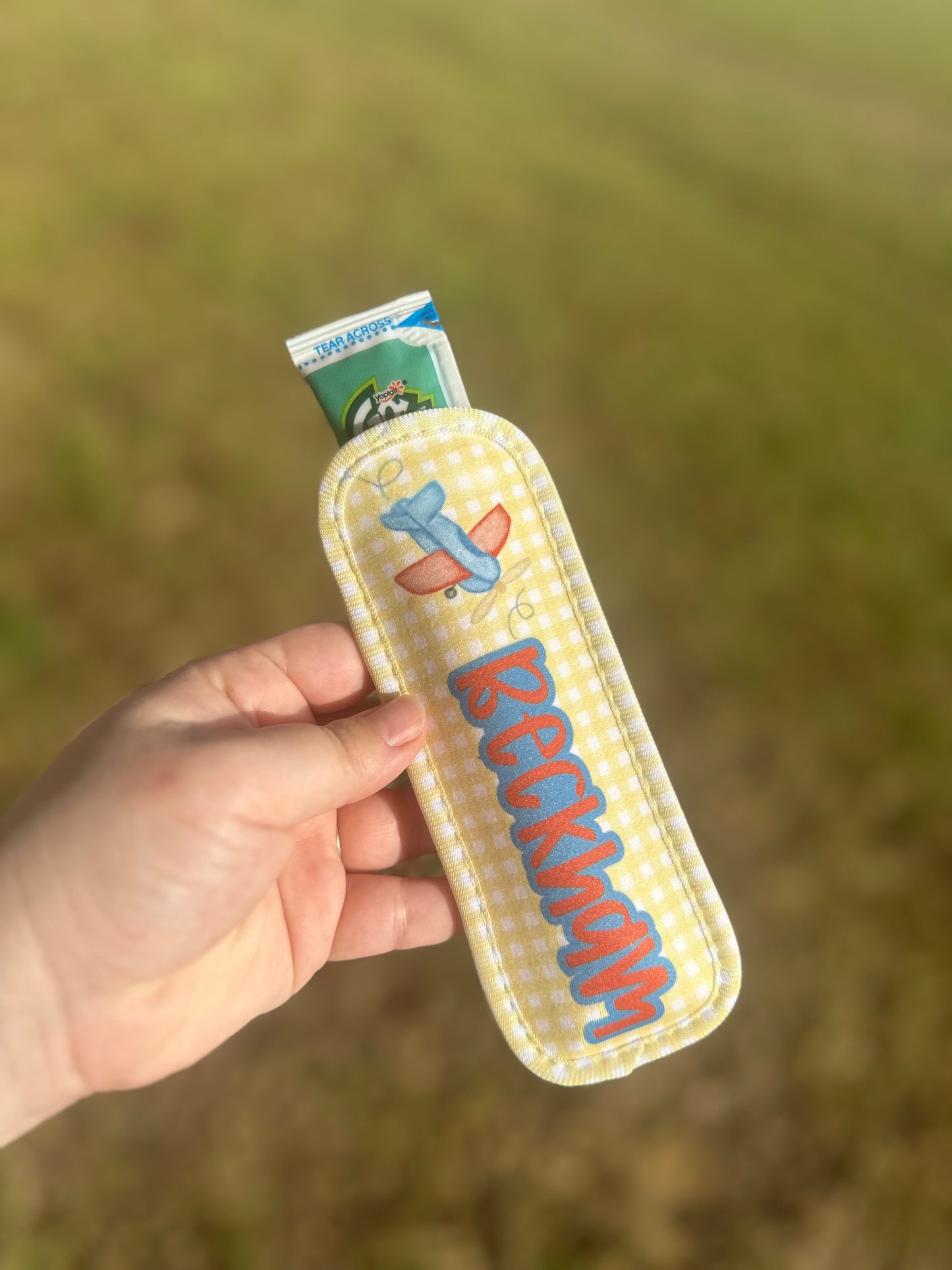 Plane Popsicle Holder