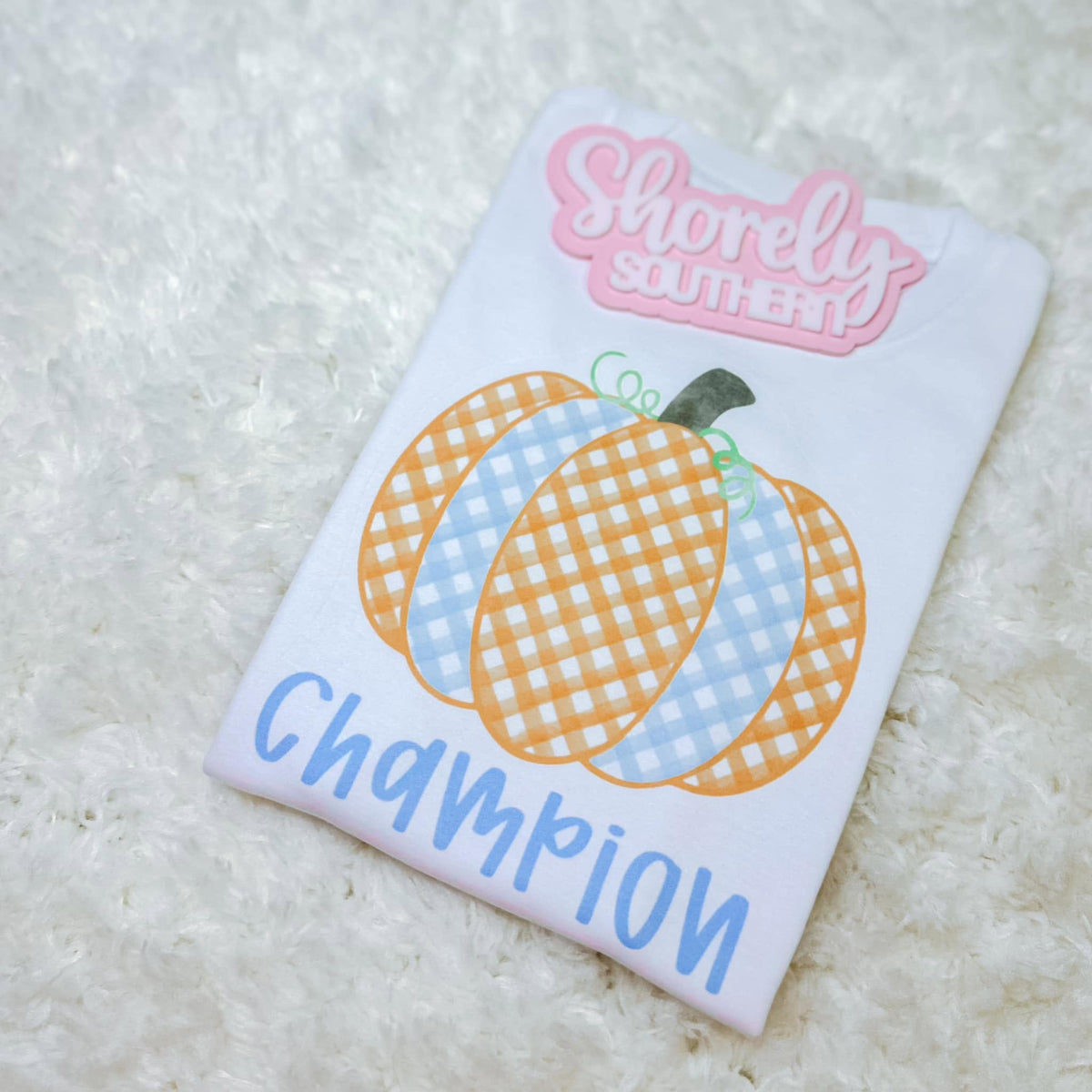 Gingham Pumpkin (Blue)